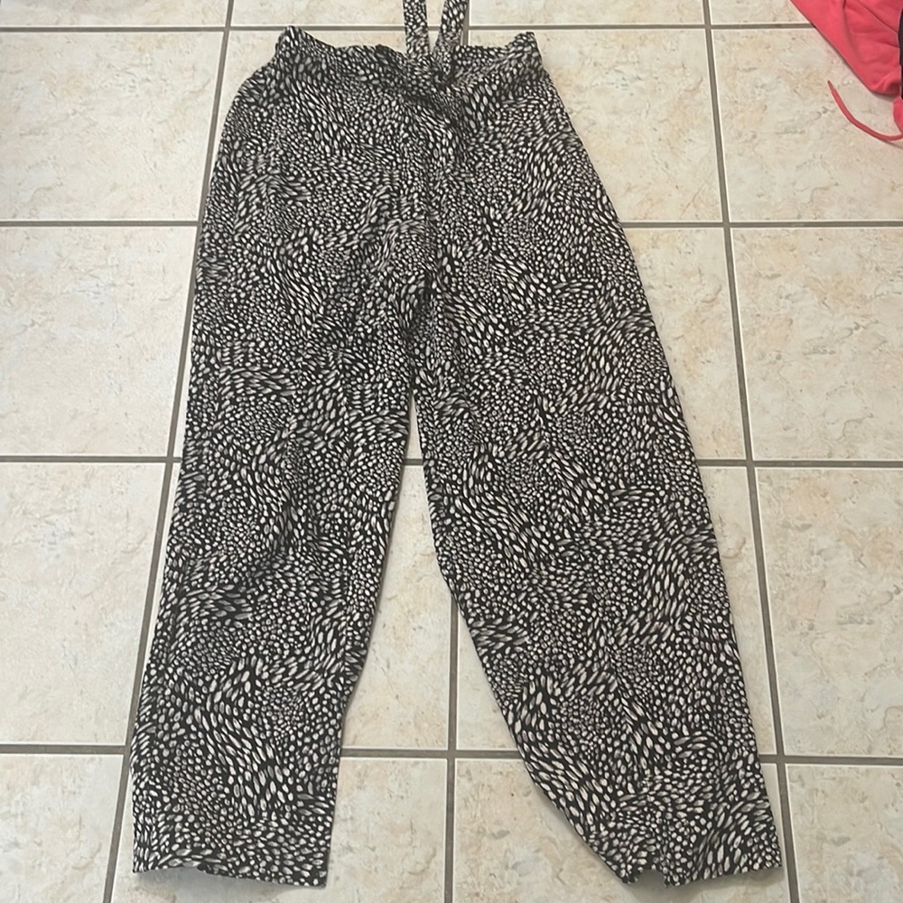 Dress pants